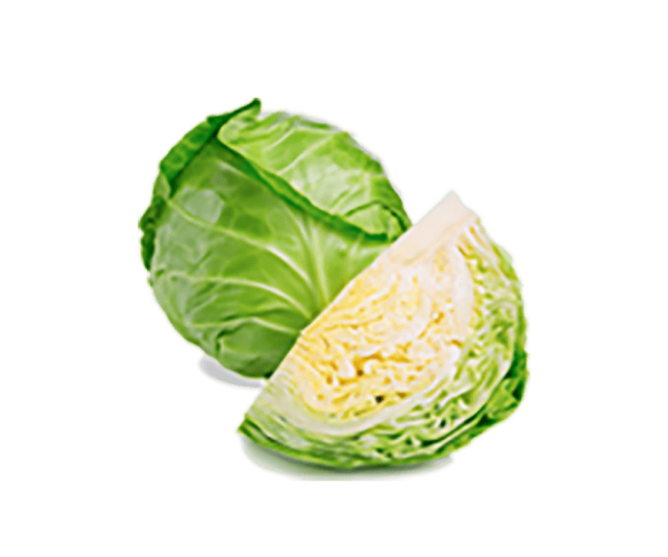 Fresh Cabbage