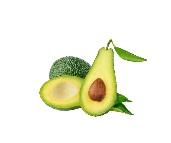 Fresh Avocado